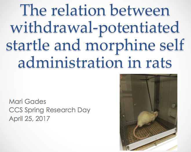 The relation between withdrawal-potentiated startle and morphine self administration in rats